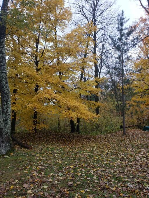 2 Bedroom-Riverfront-Fireplace - Pet Ok Pine City Esterno foto